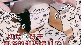 【猫头切片】奇怪的知识增加了！