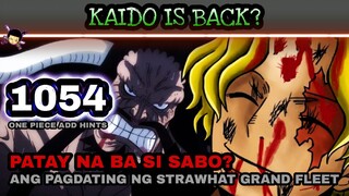 One piece 1054: (Add hints) Patay naba si Sabo? Ang pagdating ng Grandfleet sa wano? Kaido is back