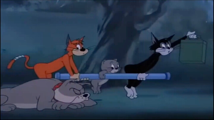 Quietly sneaking through Spike’s territory, hahaha!