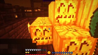 [Minecraft] Survive! Island Survival P16