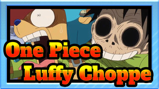 [One Piece] Adegan Keseharian Luffy&Chopper