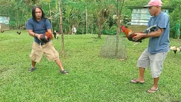 Nirapido.. Tama na Pre he he he