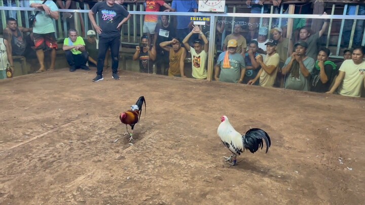 Champ 3Wins Balingoan Cockpit Arena (3rd Fyt) Entry Name: J Sunga GameBird