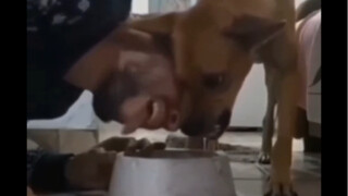 This guy risked his life to make you laugh