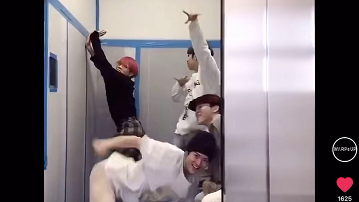 【WARPs UP】哇团未解之谜之小黑挚爱的棍子