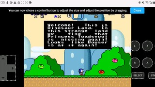 sonic  in super mario  world