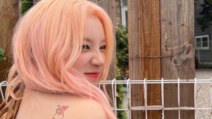 Mi Qi CP vô tình đường