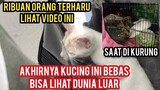 Menyelamatkan Kucing Di Kurung Di Kandang Kotor  Ribuan Orang Pasti Menangis Melihat Video Ini..!