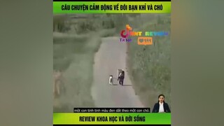 câu chuyện cảm động của chú chó và con tinh tinh reviewphim nntreview2 vulaci reviewphim