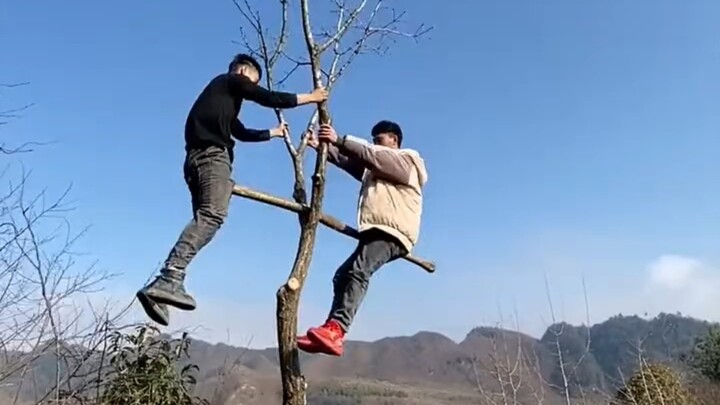 «هل تعلم كم لدي من الندم والآمال؟»