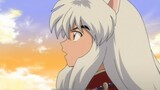 [ InuYasha ] InuYasha has been guarding the well for three years, but still can't see Kagome?