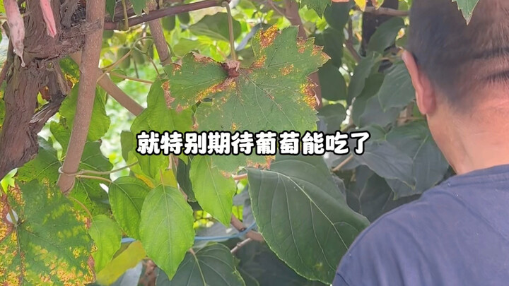 ครั้งสุดท้ายก่อนเข้าฤดูใบไม้ร่วงแล้วมาคว้าดีลเด็ดกัน