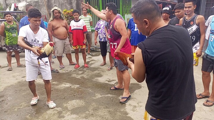 advance merry Christmas🎉