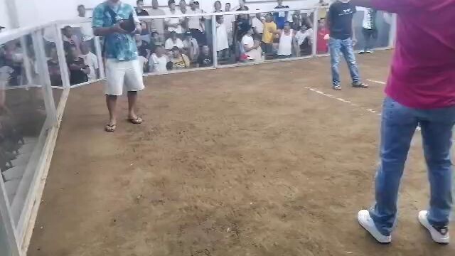 MCA invational 4stag valentine derby Win