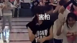 Stray Kids｜随机舞蹈｜“迷粉一跳到底是什么感受”