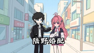 陆野婚配 | 第一集，你要老婆不要