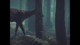 Kingdom - ASHIN of the north  (2021)(Horror / Action / drama) (Netflix)