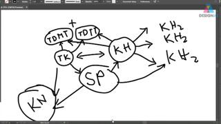 Ý tưởng sáng tạo thiết thiết kế đồ họa với ui, ux