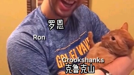 بعض الرسوم المتحركة المسيئة لـ هاري بوتر على الإنترنت