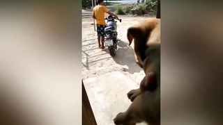 meme Ui Cha đừng tiếc nuối như thế