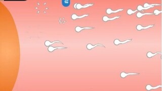 4399 Classic decompression game: contraception [not suitable for children]