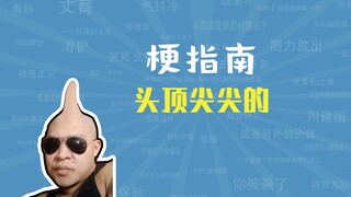 头顶尖尖的是什么梗【梗指南】