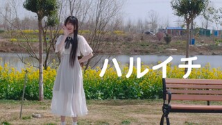 【Hanhan】Spring Breeze Frontline / Haruichi 【Spring】