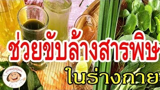 ทำนํ้าสมุนไพร "นํ้าย่านางผสมบัวบก"สองสมุนไพร ที่มีประโยชน์มากมาย/ครัวแม่สมจิตร