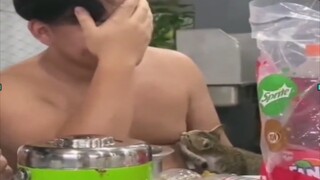 有些人，天生就是主角!