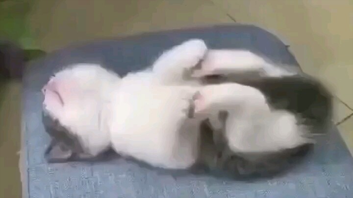 ما هذا الحلم اللطيف والمحبوب الذي تراه؟