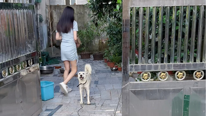 Hiện trạng của dân mạng chuyên chửi bới, hahaha