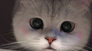 蒸可爱捏，忍不住画了几张暂不考虑接稿^O^