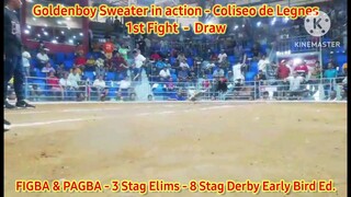 Goldenboy Sweater in action at Coliseo de Leganes Iloilo - FIGBA 3-Stag Elims - 1st Fight