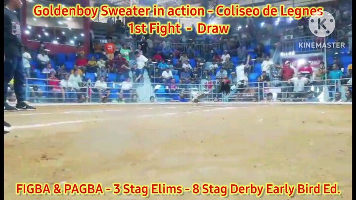 Goldenboy Sweater in action at Coliseo de Leganes Iloilo - FIGBA 3-Stag Elims - 1st Fight