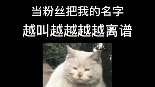有文化的粉丝