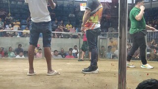 2HITS ULUTAN SA KAYBIGA NCCA CALOOCAN 2nd Fight My Grey x Blues pa  Champion 🏆🏆🐓🐓