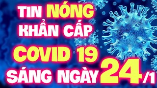 🔥 Bản tin Covid SÁNG 24/1 - Thông tin mới nhất từ Bộ Y Tế | Tin 24 Giờ