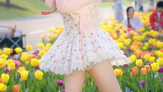 The flower language of tulips is: eternal love~