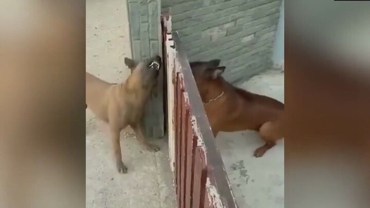 ⚡ Unnatural Death ⚡❸❺