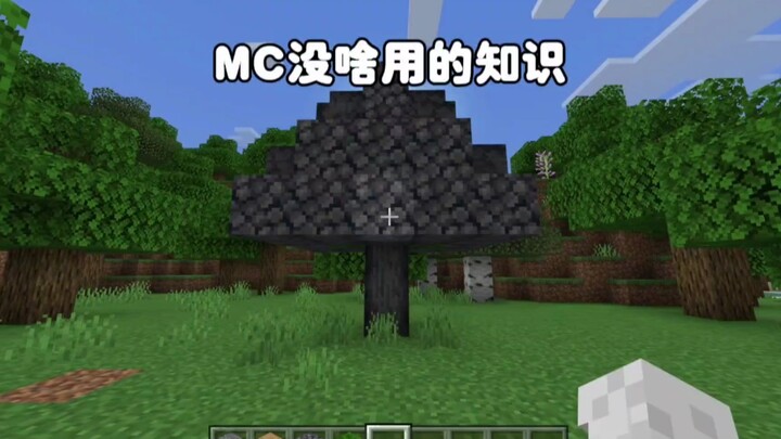 Minecraft: Useless Trivia That’s Totally Pointless in MC