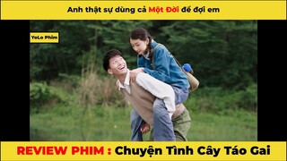 REVIEW PHIM: Chuyện tình cây táo gai - anh sẽ chờ em suốt cuộc đời