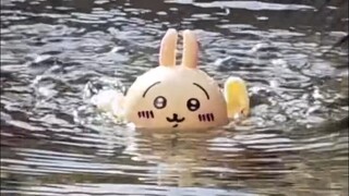 乌萨奇游向妈妈怀里