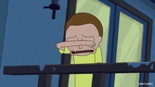 Rick abandons Morty