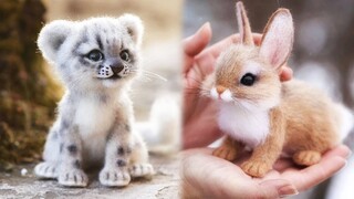 Cute baby animals Videos Compilation cute moment of the animals - Cutest Animals #5