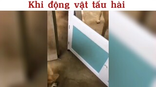 Khi động vật tấu hài p2