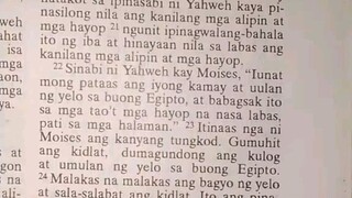 Pang Araw Araw na Talata.               Exodus 9:22-26