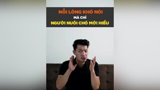 Nỗi lòng khó nói mà chỉ có người nuôi chó mới hiểu petnhatrang petonesaigon tuitienpet dcgr