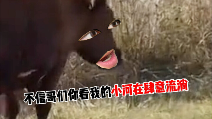 手欠拍出事了吧