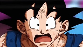 What's the difference between Zizai Jiyi and Ziji Jiyi?