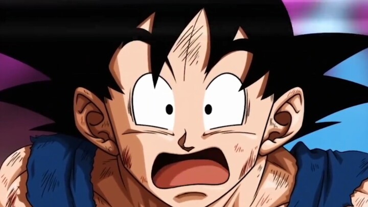 ما الفرق بين "الإرادة الذاتية الكاملة" و"الإرادة الذاتية المطلقة"؟